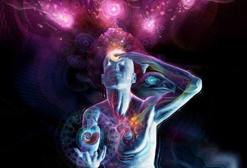 the effects of the human sense organs on the perception of reality We have been concerned with getting to know the human being as he is related to the world through the realm of his senses and the organs of his life-processes, and we have attempted to consider some of the consequences. the effects of the human sense organs on the perception of reality We have been concerned with getting to know the human being as he is related to the world through the realm of his senses and the organs of his life-processes, and we have attempted to consider some of the consequences.