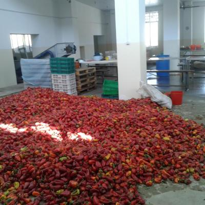 Ехегнадзорский консервный завод обеспечивает сбыт урожая сельчан