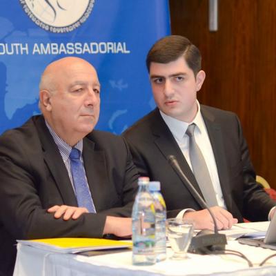Представителем молодежи Грузии в ООН избран Гиоргий Тумасян