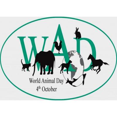 4 октября отмечается Всемирный День защиты животных