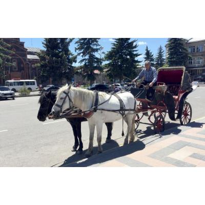 На улицах Гюмри часто можно встретить запряженные лошадьми фаэтоны