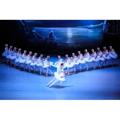 Премьера балета 'Лебединое озеро'