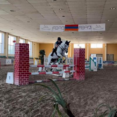 В столичном Центре конного спорта имени Овика Айрапетяна прошел открытый чемпионат Армении по преодолению препятствий – конкуру