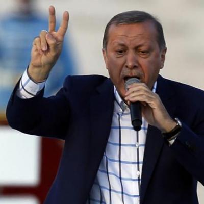 Судя по неадекватности реакции Анкары, европейцам придется применить к Турции  и другие воспитательные средства
