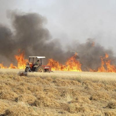В июне - начале июля на пограничных с Азербайджаном территориях Арцаха был зарегистрирован ряд пожаров